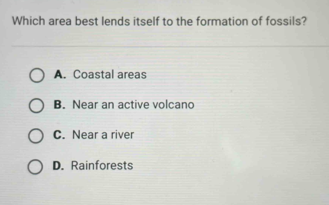 which area best lends itself to the formation of fossils?\na. coastal areas\nb. near an active volcano\nc. near a river\nd. rainforests