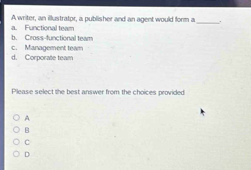 a writer, an illustrator, a publisher and an agent would form a _______. a. functional team b. cross - functional team c. management team d. corporate team please select the best answer from the choices provided