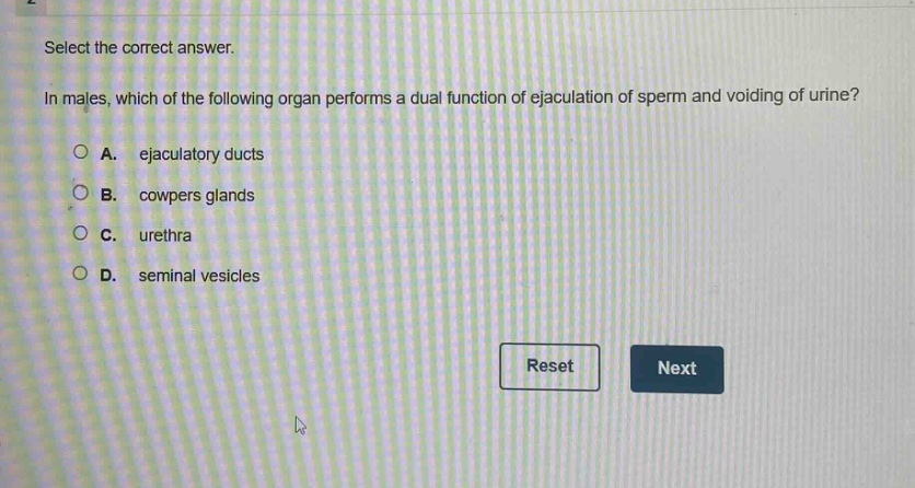 select the correct answer.\nin males, which of the following organ performs a dual function of ejaculation of sperm and voiding of urine?\na. ejaculatory ducts\nb. cowpers glands\nc. urethra\nd. seminal vesicles
