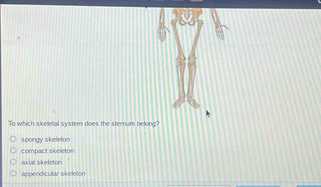 to which skeletal system does the sternum belong?\n○ spongy skeleton\n○ compact skeleton\n○ axial skeleton\n○ appendicular skeleton
