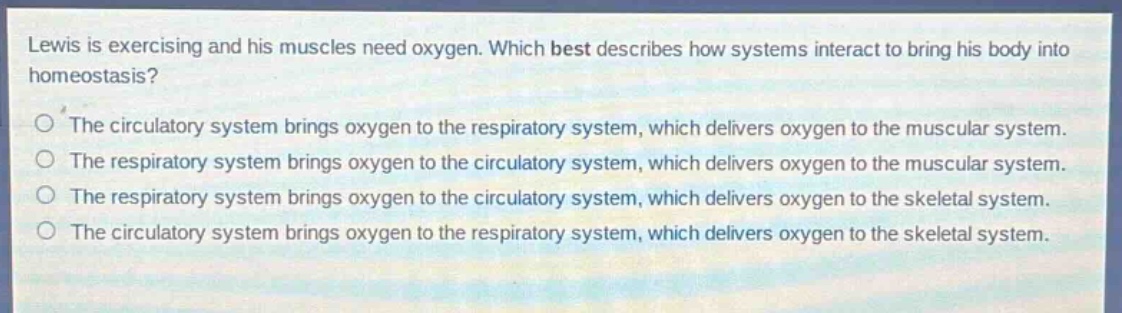 lewis is exercising and his muscles need oxygen. which best describes how systems interact to bring his body into homeostasis?\nthe circulatory system brings oxygen to the respiratory system, which delivers oxygen to the muscular system.\nthe respiratory system brings oxygen to the circulatory system, which delivers oxygen to the muscular system.\nthe respiratory system brings oxygen to the circulatory system, which delivers oxygen to the skeletal system.\nthe circulatory system brings oxygen to the respiratory system, which delivers oxygen to the skeletal system.