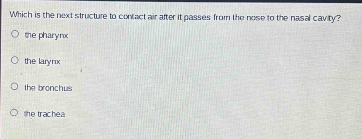which is the next structure to contact air after it passes from the nose to the nasal cavity?\no the pharynx\no the larynx\no the bronchus\no the trachea