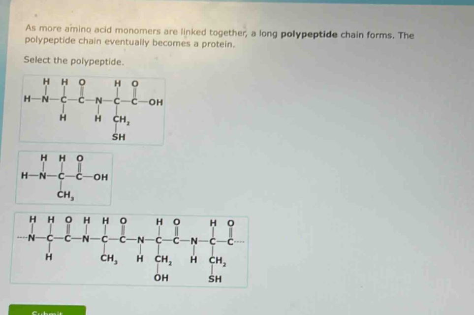 as more amino acid monomers are linked together, a long polypeptide chain forms. the polypeptide chain eventually becomes a protein.\nselect the polypeptide.