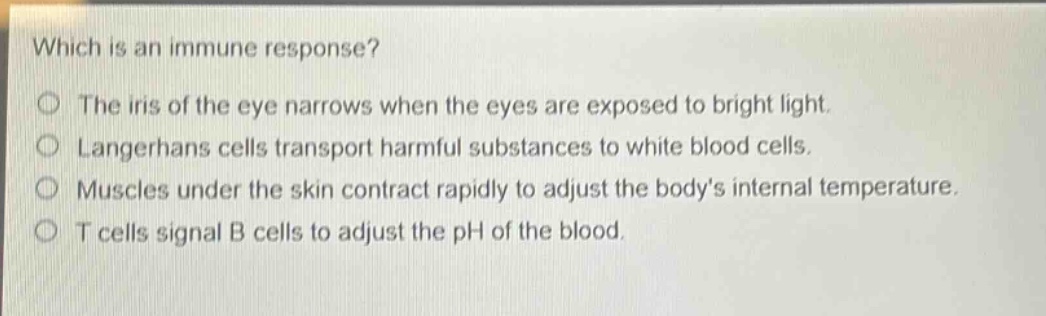 which is an immune response?\nthe iris of the eye narrows when the eyes are exposed to bright light.\nlangerhans cells transport harmful substances to white blood cells.\nmuscles under the skin contract rapidly to adjust the bodys internal temperature.\nt cells signal b cells to adjust the ph of the blood.