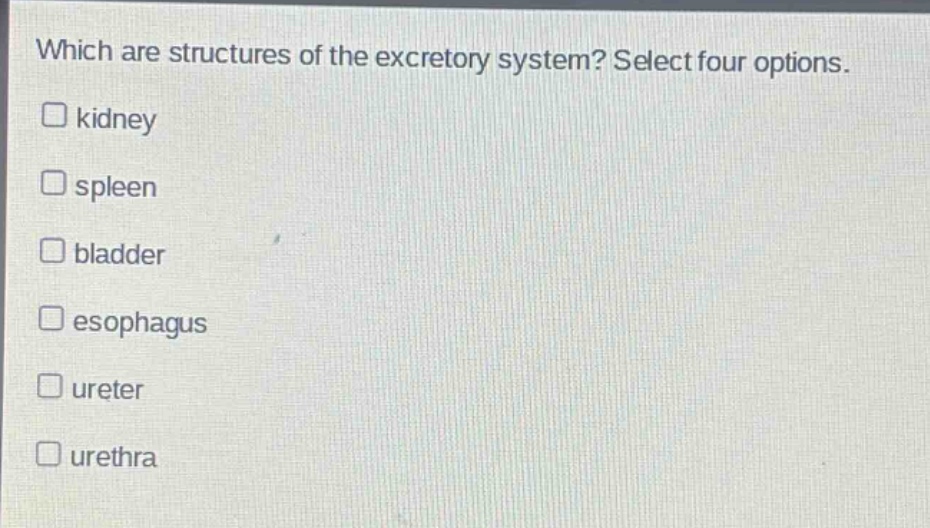 which are structures of the excretory system? select four options.\nkidney\nspleen\nbladder\nesophagus\nureter\nurethra