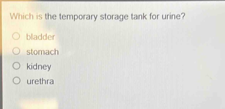 which is the temporary storage tank for urine?\nbladder\nstomach\nkidney\nurethra