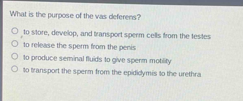 what is the purpose of the vas deferens?\no to store, develop, and transport sperm cells from the testes\no to release the sperm from the penis\no to produce seminal fluids to give sperm motility\no to transport the sperm from the epididymis to the urethra