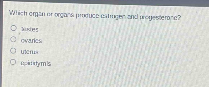 which organ or organs produce estrogen and progesterone?\ntestes\novaries\nuterus\n epididymis