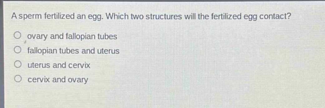 a sperm fertilized an egg. which two structures will the fertilized egg contact?\n○ ovary and fallopian tubes\n○ fallopian tubes and uterus\n○ uterus and cervix\n○ cervix and ovary