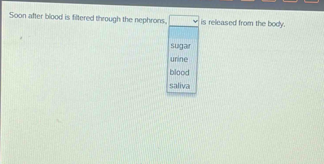 soon after blood is filtered through the nephrons, is released from the body.\nsugar\nurine\nblood\nsaliva