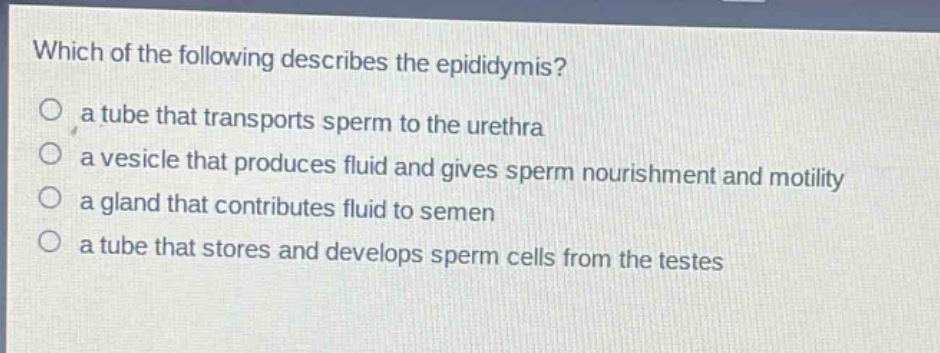 which of the following describes the epididymis?\no a tube that transports sperm to the urethra\no a vesicle that produces fluid and gives sperm nourishment and motility\no a gland that contributes fluid to semen\no a tube that stores and develops sperm cells from the testes