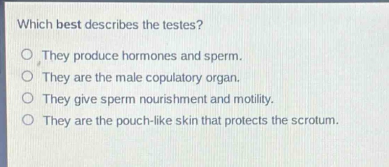 which best describes the testes?\no they produce hormones and sperm.\no they are the male copulatory organ.\no they give sperm nourishment and motility.\no they are the pouch - like skin that protects the scrotum.