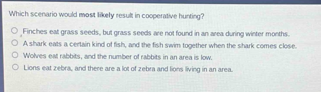 which scenario would most likely result in cooperative hunting?\nfinches eat grass seeds, but grass seeds are not found in an area during winter months.\na shark eats a certain kind of fish, and the fish swim together when the shark comes close.\nwolves eat rabbits, and the number of rabbits in an area is low.\nlions eat zebra, and there are a lot of zebra and lions living in an area.