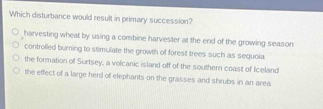 which disturbance would result in primary succession?\nharvesting wheat by using a combine harvester at the end of the growing season\ncontrolled burning to stimulate the growth of forest trees such as sequoia\nthe formation of surtsey, a volcanic island off of the southern coast of iceland\nthe effect of a large herd of elephants on the grasses and shrubs in an area
