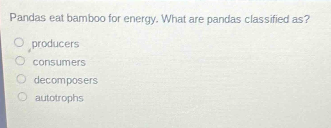 pandas eat bamboo for energy. what are pandas classified as?\nproducers\nconsumers\ndecomposers\nautotrophs