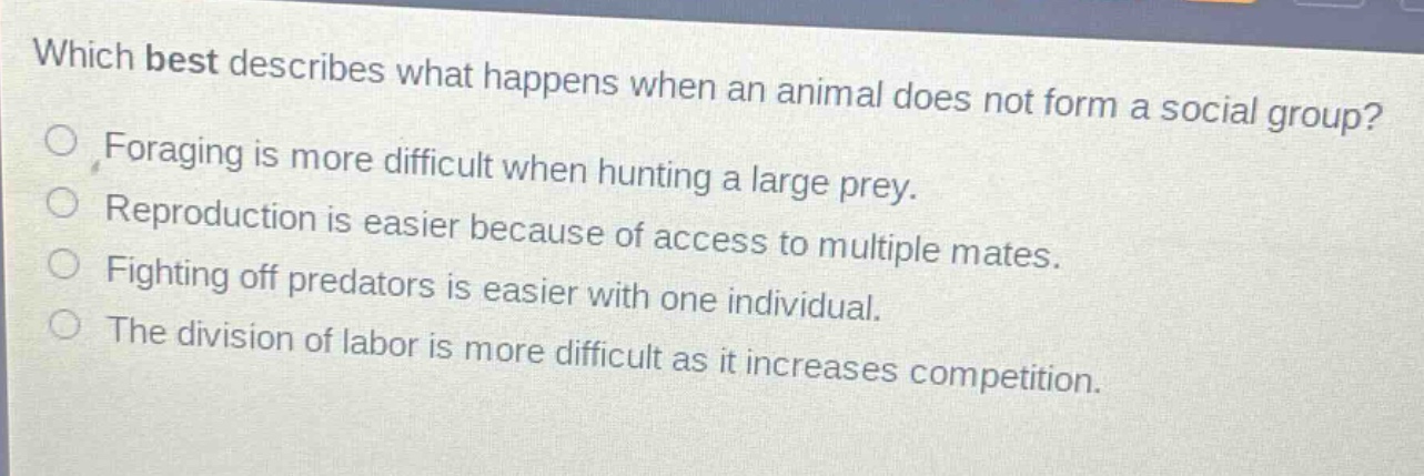 which best describes what happens when an animal does not form a social group?\nforaging is more difficult when hunting a large prey.\nreproduction is easier because of access to multiple mates.\nfighting off predators is easier with one individual.\nthe division of labor is more difficult as it increases competition.