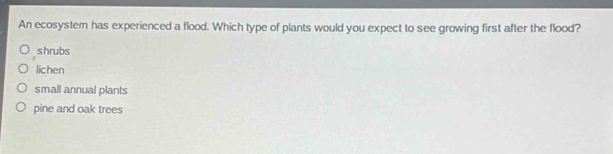 an ecosystem has experienced a flood. which type of plants would you expect to see growing first after the flood?\no shrubs\no lichen\no small annual plants\no pine and oak trees