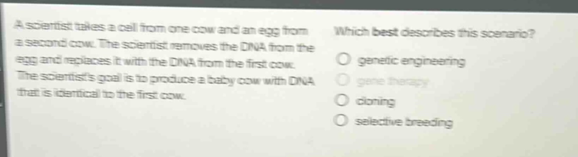 a scientist takes a cell from one cow and an egg from a second cow. the scientist removes the dna from the egg and replaces it with the dna from the first cow. the scientists goal is to produce a baby cow with dna that is identical to the first cow. which best describes this scenario? genetic engineering gene therapy cloning selective breeding