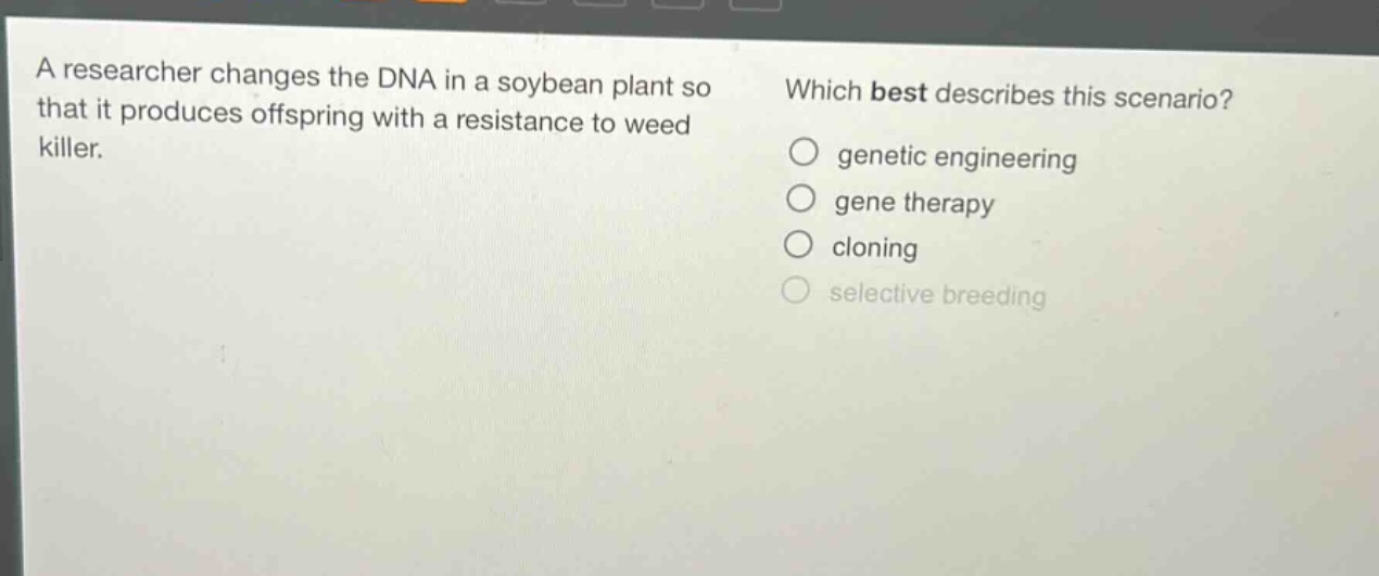 a researcher changes the dna in a soybean plant so that it produces offspring with a resistance to weed killer. which best describes this scenario? genetic engineering gene therapy cloning selective breeding