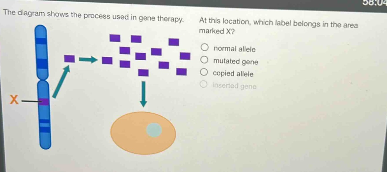 the diagram shows the process used in gene therapy. at this location, which label belongs in the area marked x? normal allele mutated gene copied allele inserted gene
