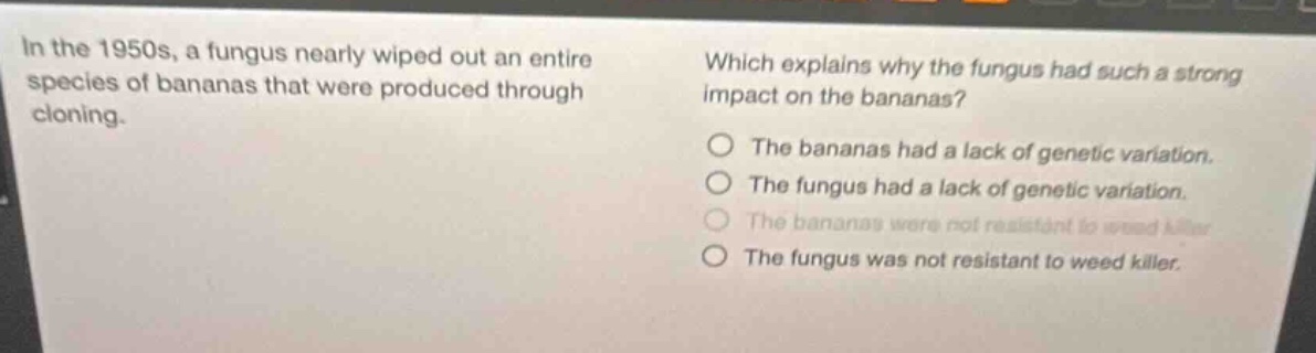 in the 1950s, a fungus nearly wiped out an entire species of bananas that were produced through cloning. which explains why the fungus had such a strong impact on the bananas? the bananas had a lack of genetic variation. the fungus had a lack of genetic variation. the bananas were not resistant to weed killer. the fungus was not resistant to weed killer.