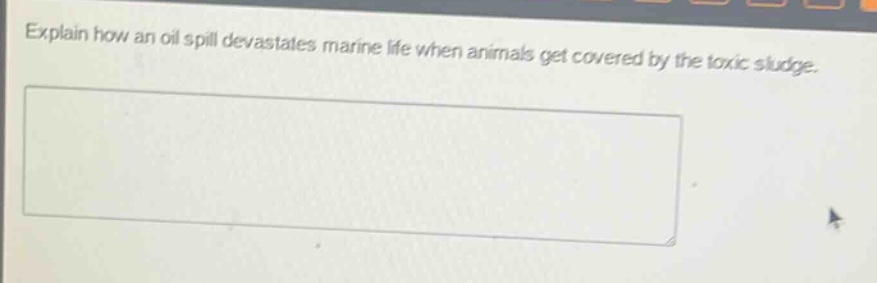 explain how an oil spill devastates marine life when animals get covered by the toxic sludge.