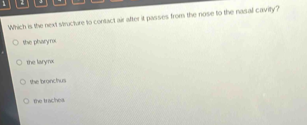which is the next structure to contact air after it passes from the nose to the nasal cavity?\n○ the pharynx\n○ the larynx\n○ the bronchus\n○ the trachea