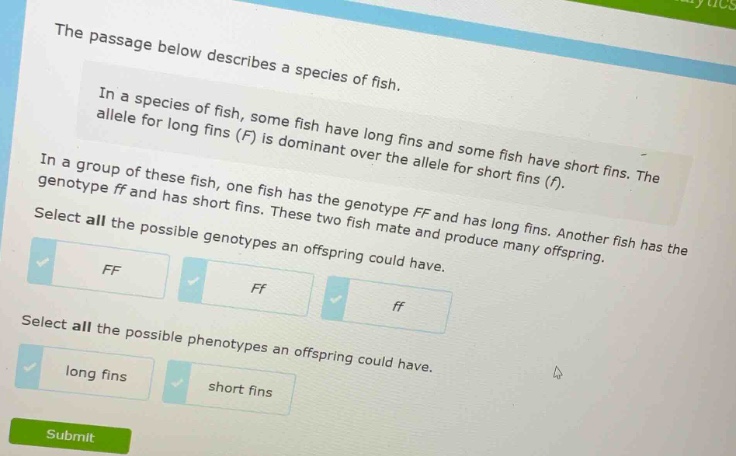the passage below describes a species of fish.\nin a species of fish, some fish have long fins and some fish have short fins. the allele for long fins (f) is dominant over the allele for short fins (f).\nin a group of these fish, one fish has the genotype ff and has long fins. another fish has the genotype ff and has short fins. these two fish mate and produce many offspring.\nselect all the possible genotypes an offspring could have.\nff ff ff\nselect all the possible phenotypes an offspring could have.\nlong fins short fins
