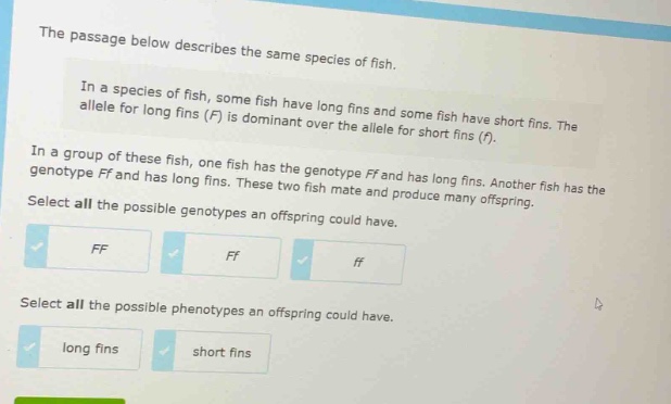 the passage below describes the same species of fish.\nin a species of fish, some fish have long fins and some fish have short fins. the allele for long fins (f) is dominant over the allele for short fins (f).\nin a group of these fish, one fish has the genotype ff and has long fins. another fish has the genotype ff and has long fins. these two fish mate and produce many offspring.\nselect all the possible genotypes an offspring could have.\nff ff ff\nselect all the possible phenotypes an offspring could have.\nlong fins short fins