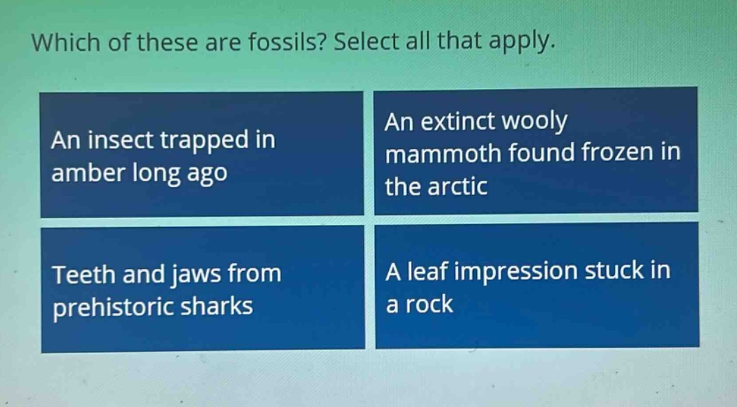 which of these are fossils? select all that apply. an insect trapped in amber long ago an extinct wooly mammoth found frozen in the arctic teeth and jaws from prehistoric sharks a leaf impression stuck in a rock