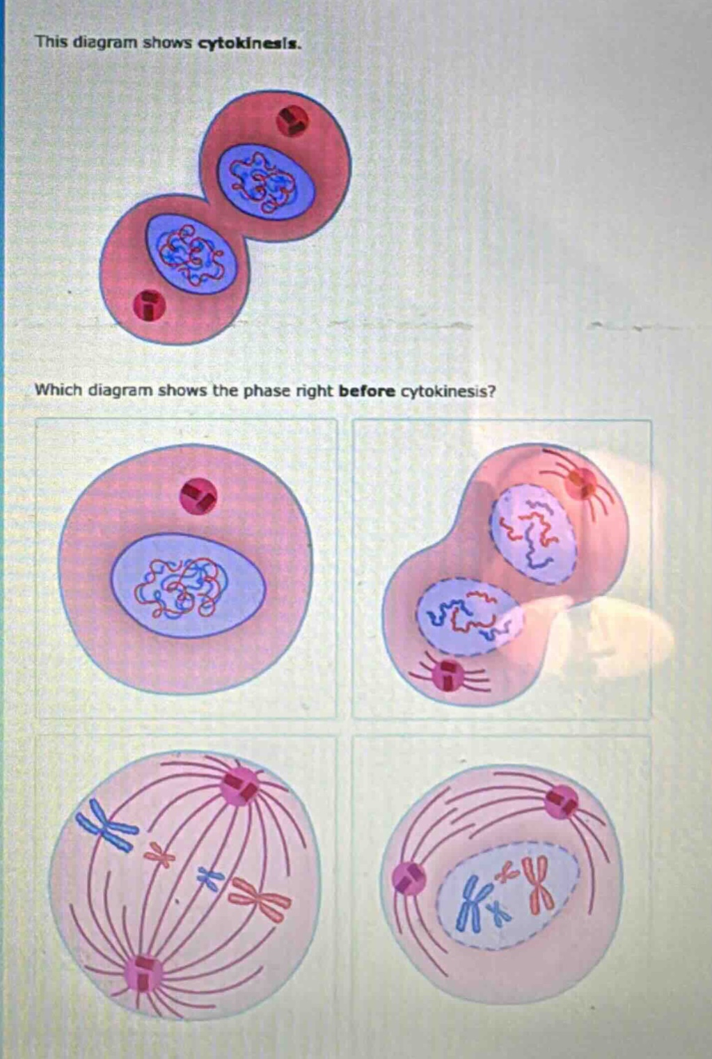 this diagram shows cytokinesis. which diagram shows the phase right before cytokinesis?