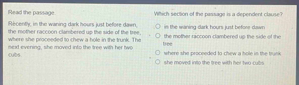 read the passage. recently, in the waning dark hours just before dawn, the mother raccoon clambered up the side of the tree, where she proceeded to chew a hole in the trunk. the next evening, she moved into the tree with her two cubs. which section of the passage is a dependent clause? in the waning dark hours just before dawn the mother raccoon clambered up the side of the tree where she proceeded to chew a hole in the trunk she moved into the tree with her two cubs