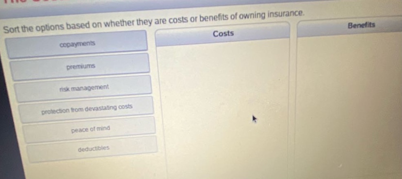 sort the options based on whether they are costs or benefits of owning insurance. copayments premiums risk management protection from devastating costs peace of mind deductibles costs benefits