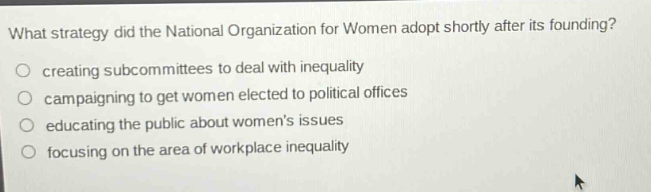 what strategy did the national organization for women adopt shortly after its founding?\n○ creating subcommittees to deal with inequality\n○ campaigning to get women elected to political offices\n○ educating the public about womens issues\n○ focusing on the area of workplace inequality