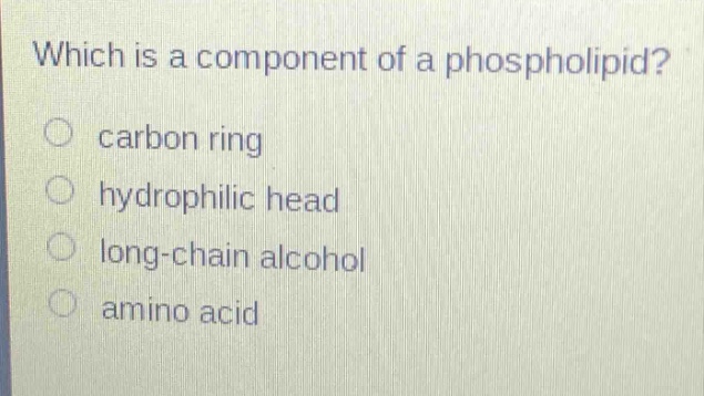 which is a component of a phospholipid?\ncarbon ring\nhydrophilic head\nlong - chain alcohol\namino acid