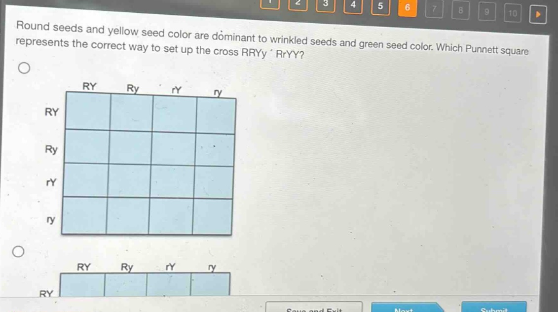 round seeds and yellow seed color are dominant to wrinkled seeds and green seed color. which punnett square represents the correct way to set up the cross rryy × rryy?