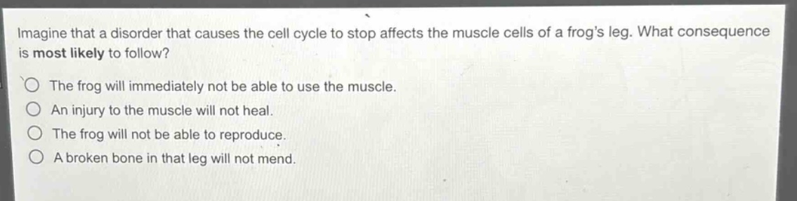 imagine that a disorder that causes the cell cycle to stop affects the muscle cells of a frogs leg. what consequence is most likely to follow?\nthe frog will immediately not be able to use the muscle.\nan injury to the muscle will not heal.\nthe frog will not be able to reproduce.\na broken bone in that leg will not mend.