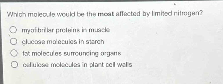 which molecule would be the most affected by limited nitrogen?\nmyofibrillar proteins in muscle\nglucose molecules in starch\nfat molecules surrounding organs\ncellulose molecules in plant cell walls