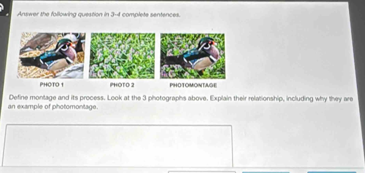 answer the following question in 3 - 4 complete sentences. define montage and its process. look at the 3 photographs above. explain their relationship, including why they are an example of photomontage.