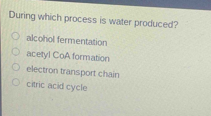 during which process is water produced?\nalcohol fermentation\nacetyl coa formation\nelectron transport chain\ncitric acid cycle