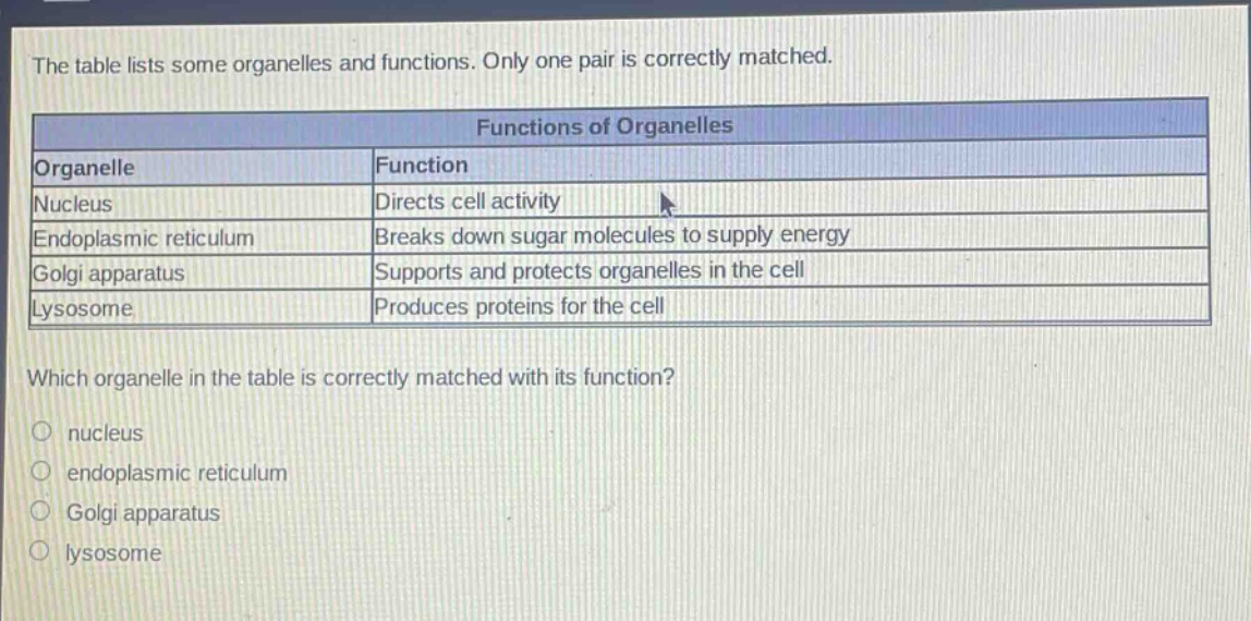 the table lists some organelles and functions. only one pair is correctly matched.\n\n| organelle | function |\n|--|--| \n| nucleus | directs cell activity |\n| endoplasmic reticulum | breaks down sugar molecules to supply energy |\n| golgi apparatus | supports and protects organelles in the cell |\n| lysosome | produces proteins for the cell |\n\nwhich organelle in the table is correctly matched with its function?\n- nucleus\n- endoplasmic reticulum\n- golgi apparatus\n- lysosome