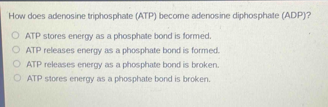how does adenosine triphosphate (atp) become adenosine diphosphate (adp)?\natp stores energy as a phosphate bond is formed.\natp releases energy as a phosphate bond is formed.\natp releases energy as a phosphate bond is broken.\natp stores energy as a phosphate bond is broken.