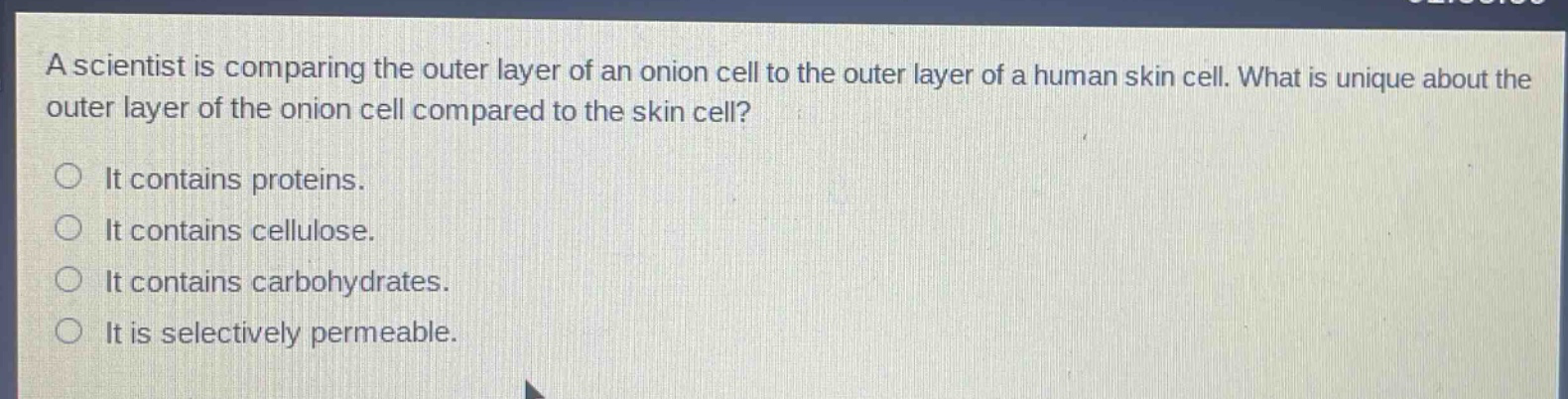 a scientist is comparing the outer layer of an onion cell to the outer layer of a human skin cell. what is unique about the outer layer of the onion cell compared to the skin cell?\nit contains proteins.\nit contains cellulose.\nit contains carbohydrates.\nit is selectively permeable.