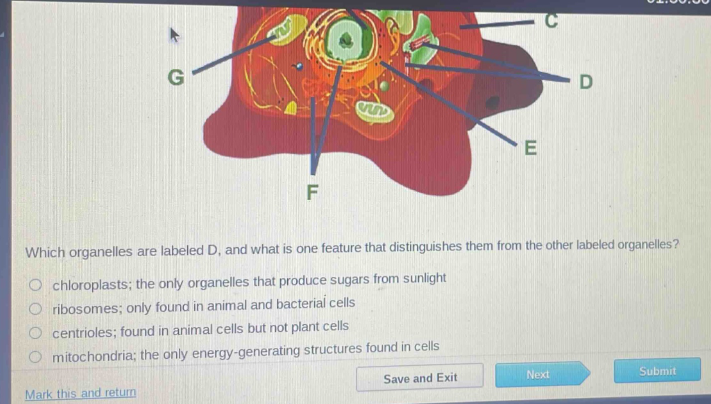 which organelles are labeled d, and what is one feature that distinguishes them from the other labeled organelles?\nchloroplasts; the only organelles that produce sugars from sunlight\nribosomes; only found in animal and bacterial cells\ncentrioles; found in animal cells but not plant cells\nmitochondria; the only energy - generating structures found in cells