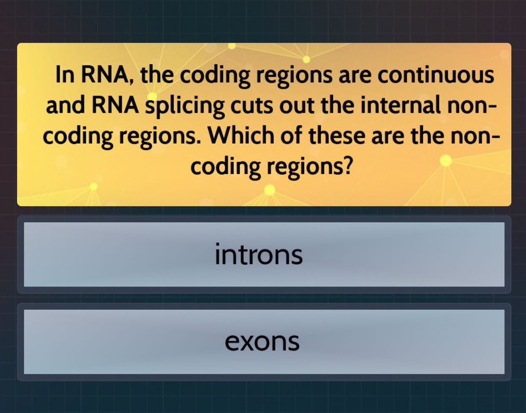 in rna, the coding regions are continuous and rna splicing cuts out the internal non - coding regions. which of these are the non - coding regions? introns exons