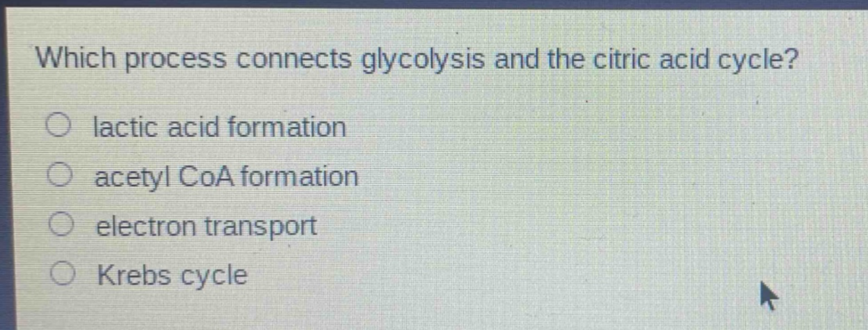 which process connects glycolysis and the citric acid cycle?\n○ lactic acid formation\n○ acetyl coa formation\n○ electron transport\n○ krebs cycle