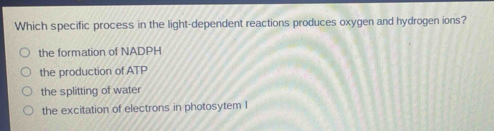 which specific process in the light - dependent reactions produces oxygen and hydrogen ions?\n the formation of nadph\n the production of atp\n the splitting of water\n the excitation of electrons in photosytem i