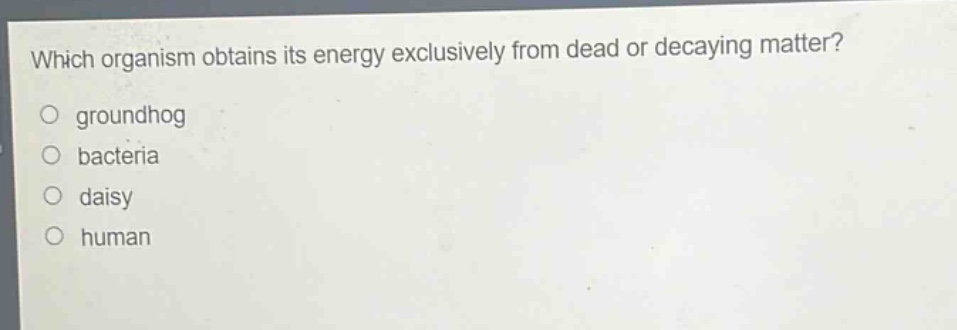 which organism obtains its energy exclusively from dead or decaying matter?\ngroundhog\nbacteria\ndaisy\nhuman