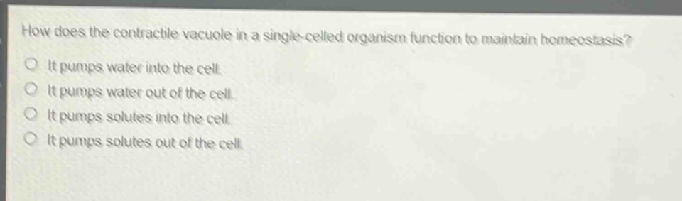 how does the contractile vacuole in a single - celled organism function to maintain homeostasis?\nit pumps water into the cell.\nit pumps water out of the cell.\nit pumps solutes into the cell.\nit pumps solutes out of the cell.