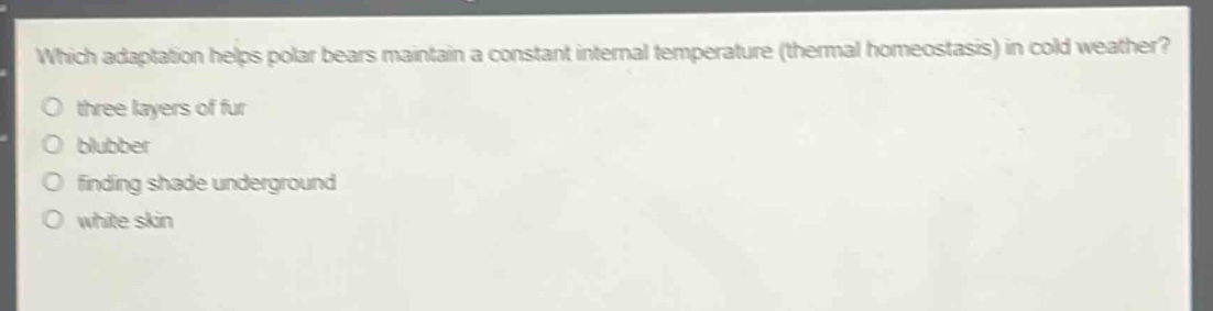 which adaptation helps polar bears maintain a constant internal temperature (thermal homeostasis) in cold weather?\no three layers of fur\no blubber\no finding shade underground\no white skin